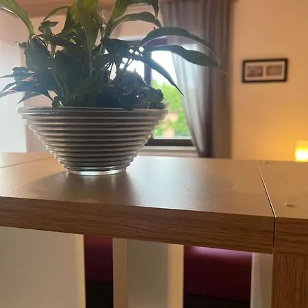 شقة Ferienzimmer Moller *
